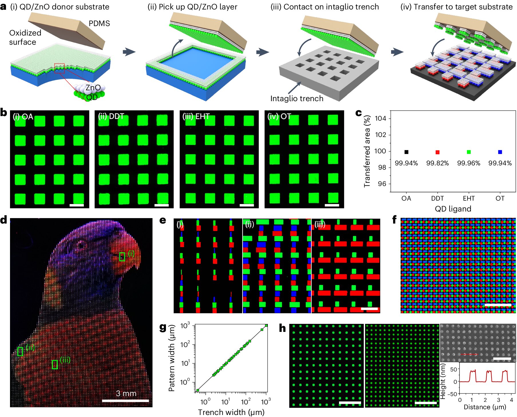 Image: Nature Photonics