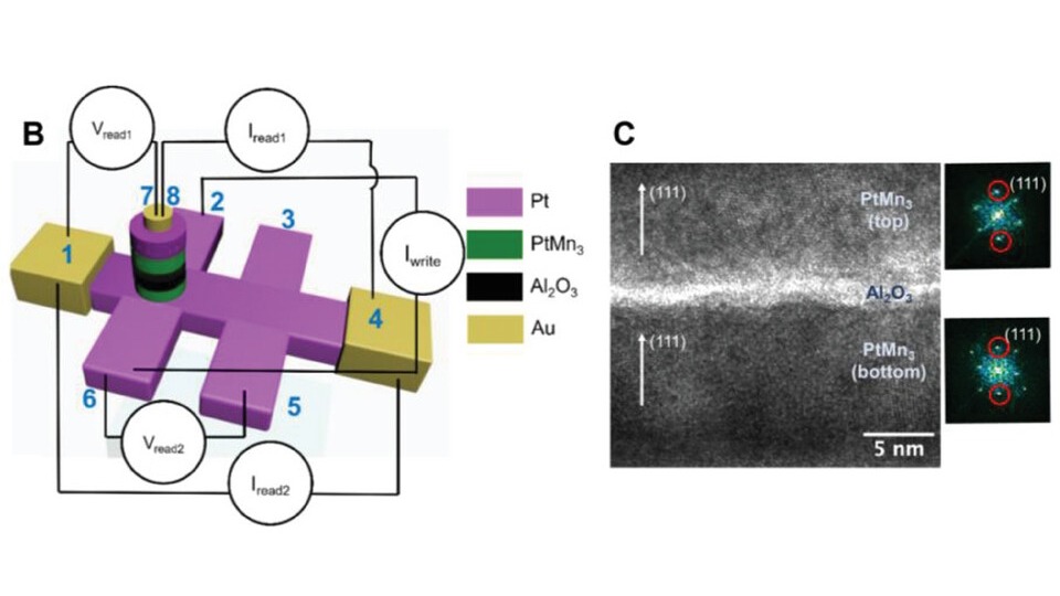 Image: Wiley Advanced Materials (2024)