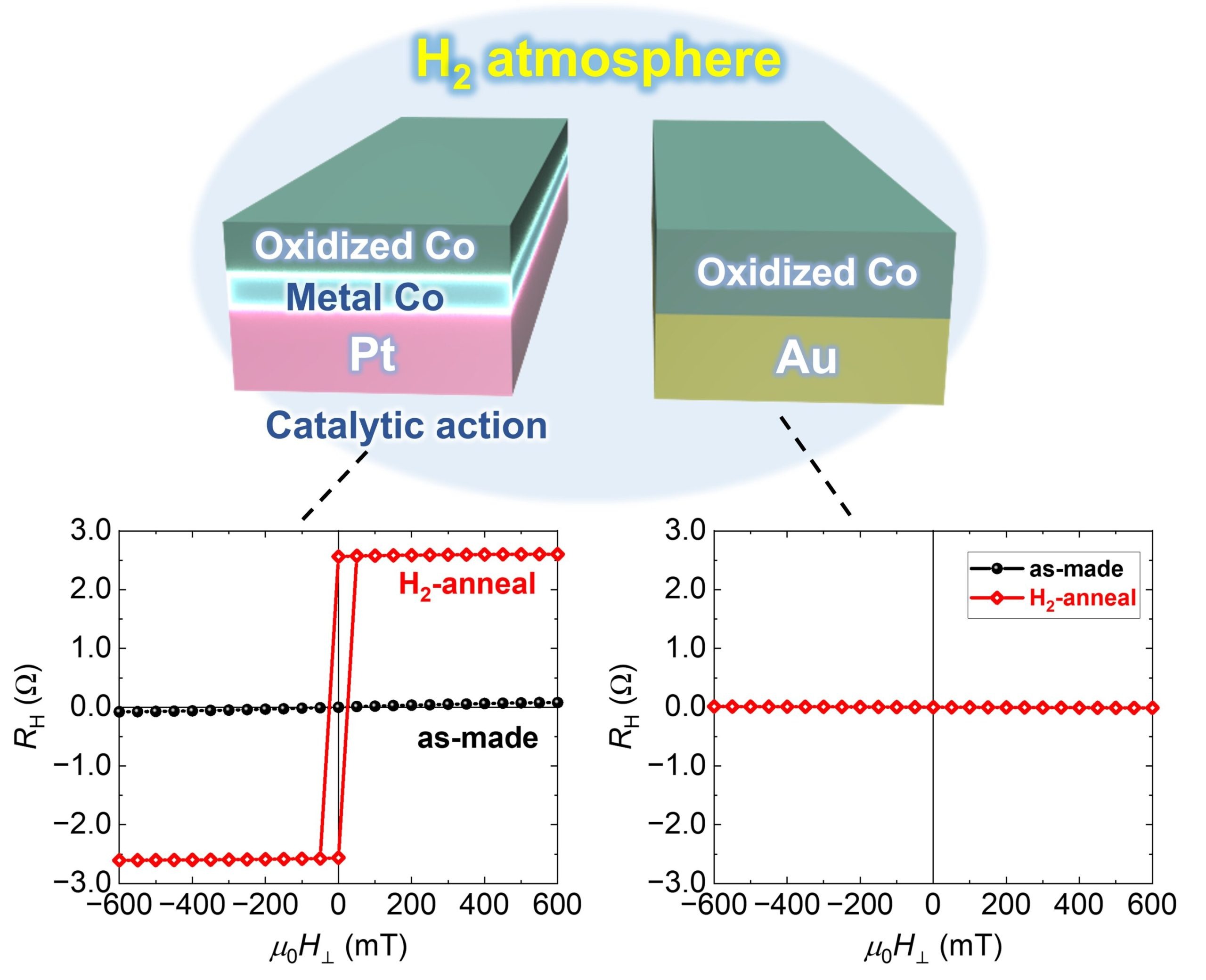 Image: Applied Physics Letters 2025