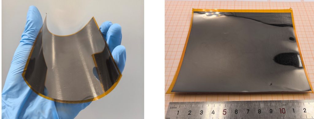 Image: Science Advances (2025)